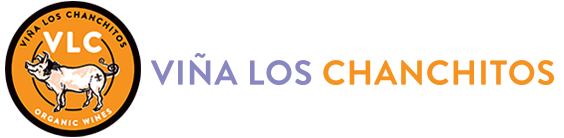 Viña Los Chanchitos